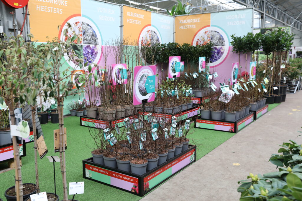 ABGO Garden (1)